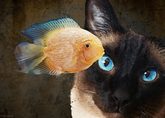 Screen Shot 2016-06-01 at 8.17.21 AM