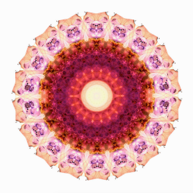 Screen Shot 2016-06-29 at 8.53.09 AM