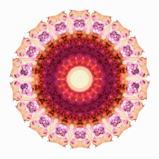 Screen Shot 2016-06-29 at 8.53.09 AM