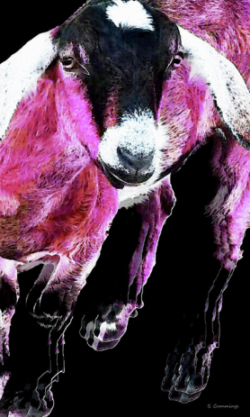 screen-shot-2016-09-15-at-9-39-12-am