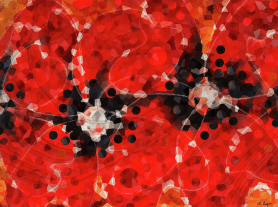 screen-shot-2016-10-03-at-8-50-59-am