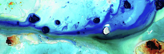 screen-shot-2017-01-05-at-10-48-24-am