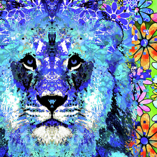 screen-shot-2017-01-18-at-5-58-43-pm