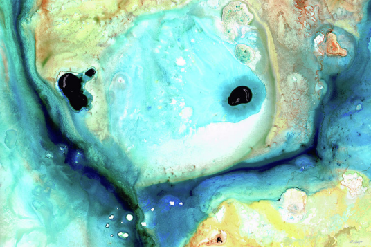 screen-shot-2017-01-30-at-8-41-09-am